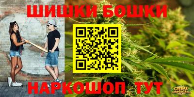 стаф Будённовск