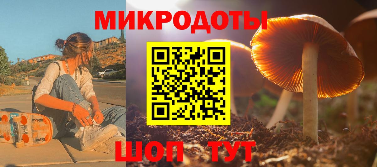 Свободный  Псилоцибиновые грибы мицелий  Псилоцибиновые грибы Psilocybe  наркошоп  Вход с VPN 